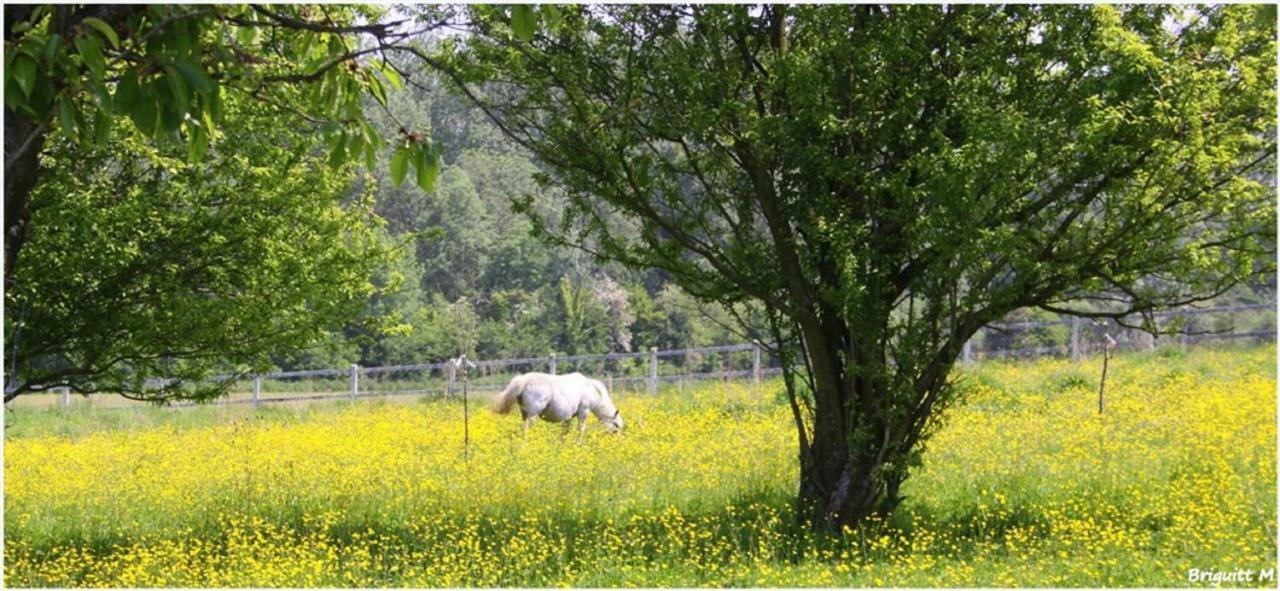 Les Songes De L'Authie Bed and Breakfast Boufflers Εξωτερικό φωτογραφία
